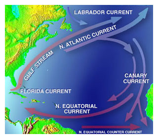 Gulf Stream Current
