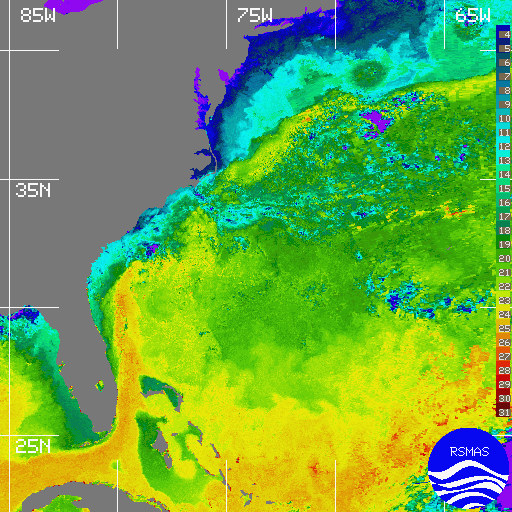 Gulf Stream 2/19/96
