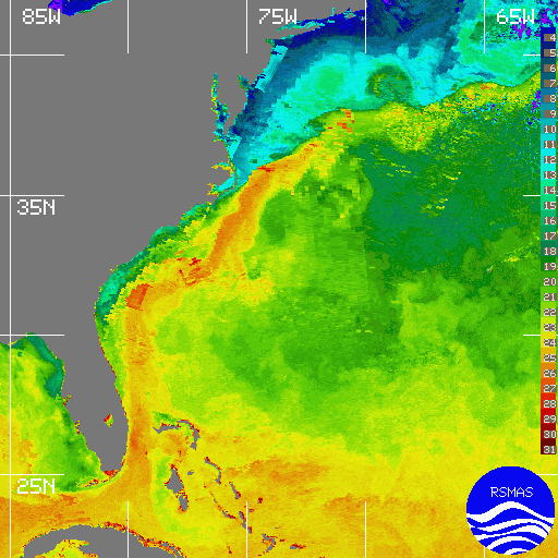 Gulf Stream 2/25/96