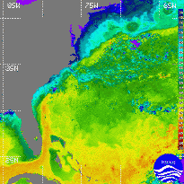Gulf Stream 2/19/96