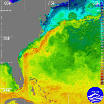 Gulf Stream 2/25/96