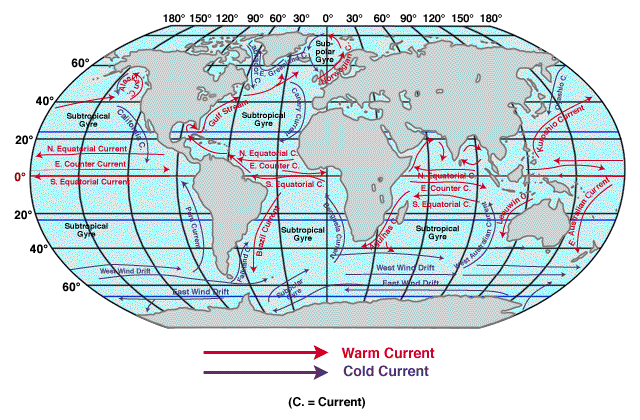 Surface Currents