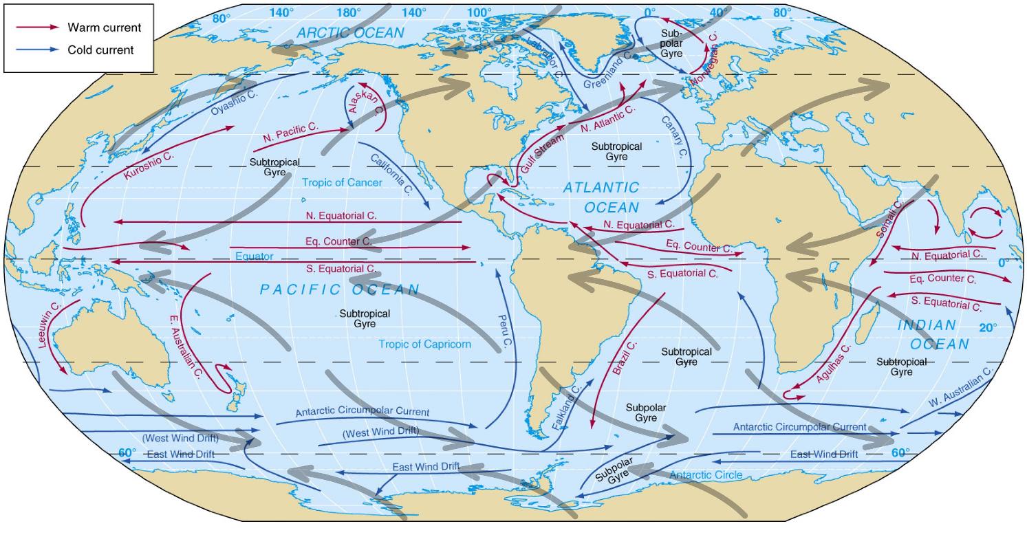 Surface Currents